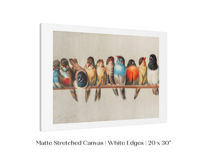 Perch of Small Birds | P30.1 - Single Art Prints - Piccolo Fiore Prints