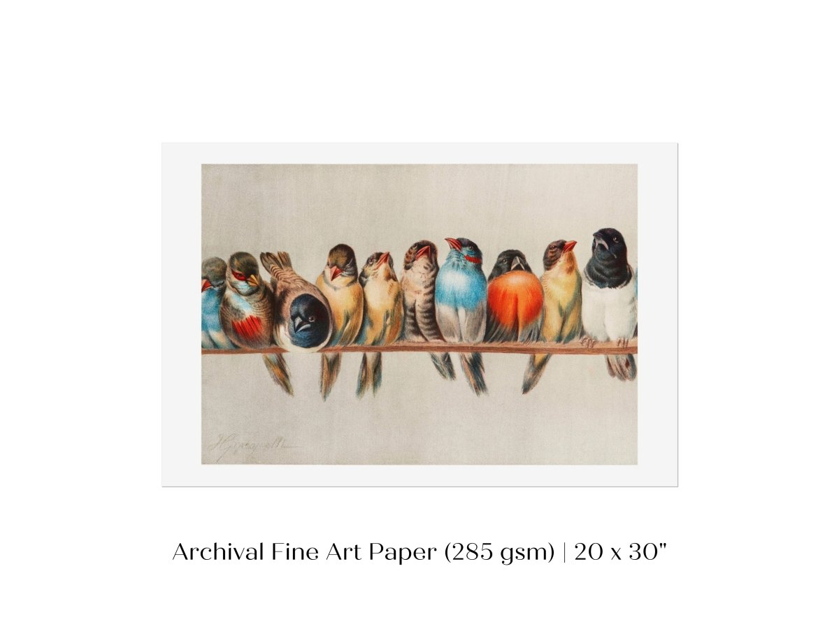 Perch of Small Birds | P30.1 - Single Art Prints - Piccolo Fiore Prints