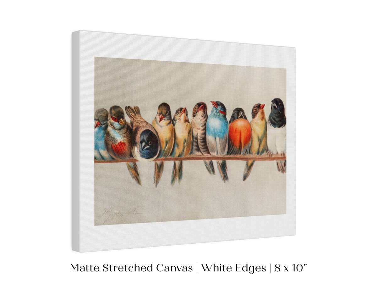 Perch of Small Birds | P30.1 - Single Art Prints - Piccolo Fiore Prints