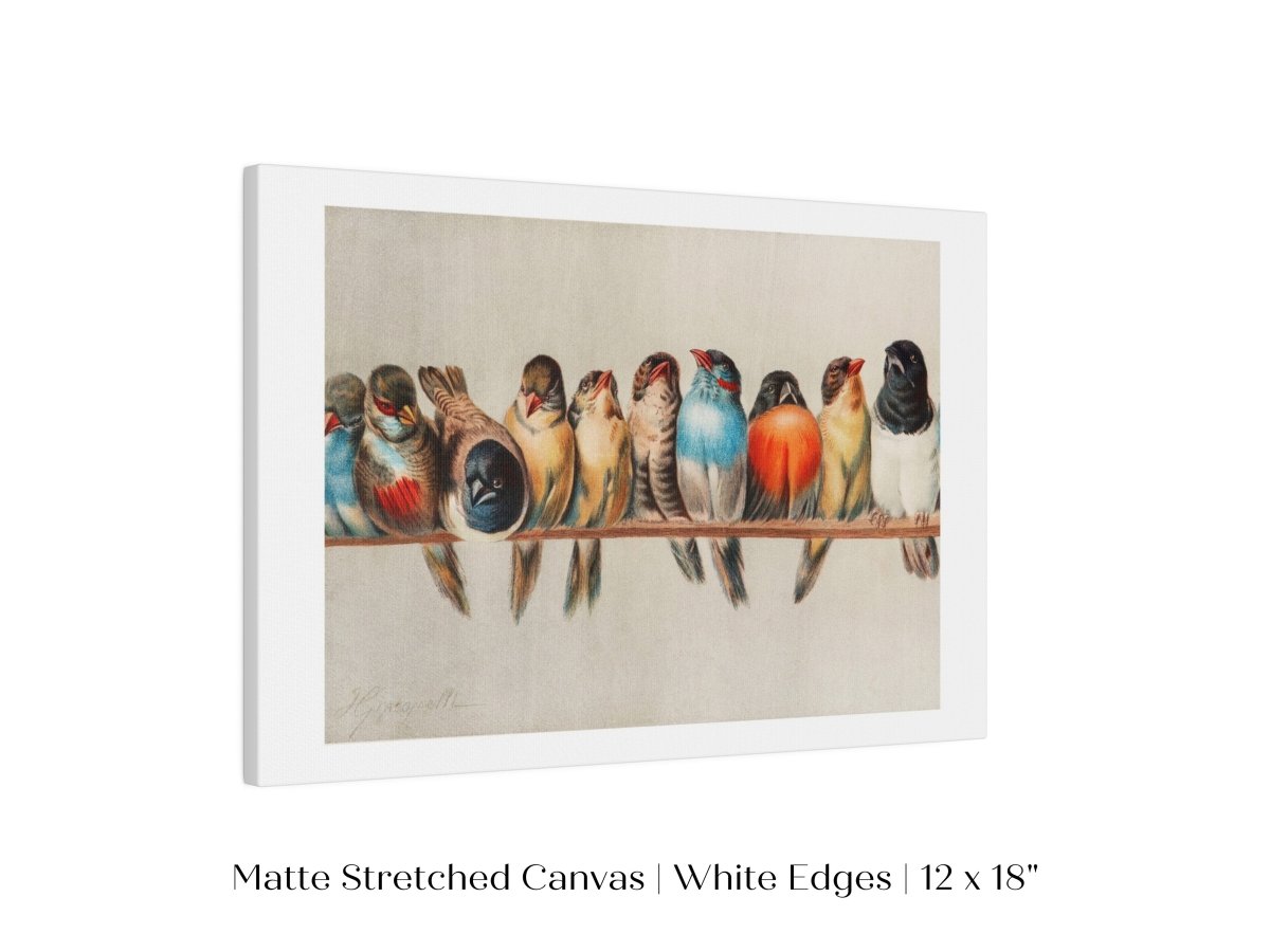 Perch of Small Birds | P30.1 - Single Art Prints - Piccolo Fiore Prints