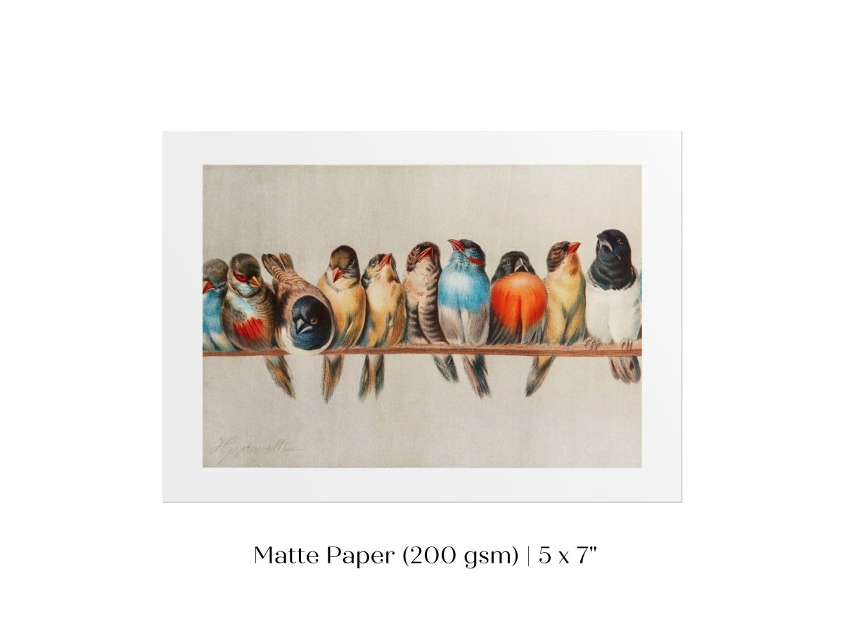 Perch of Small Birds | P30.1 - Single Art Prints - Piccolo Fiore Prints