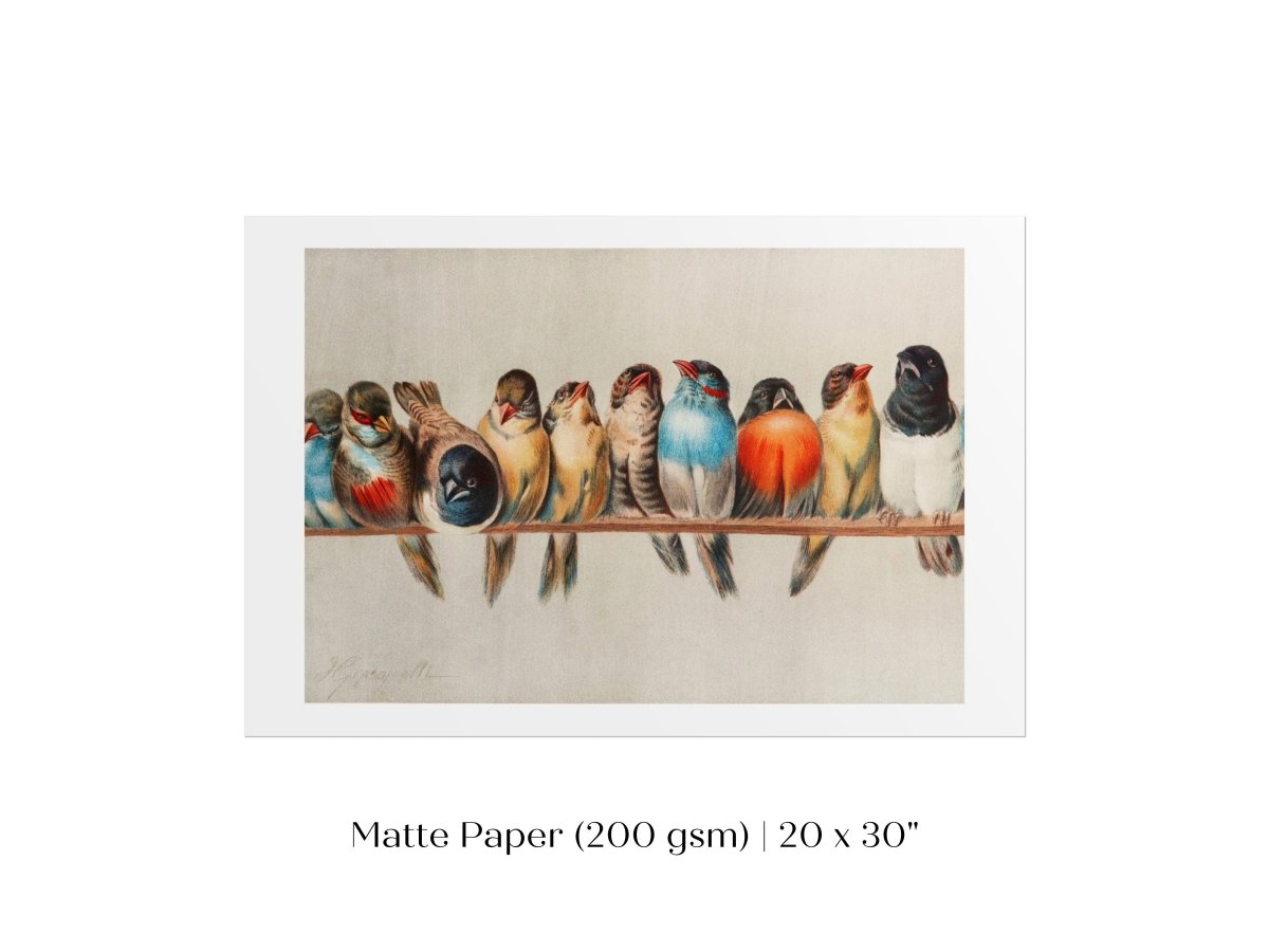 Perch of Small Birds | P30.1 - Single Art Prints - Piccolo Fiore Prints