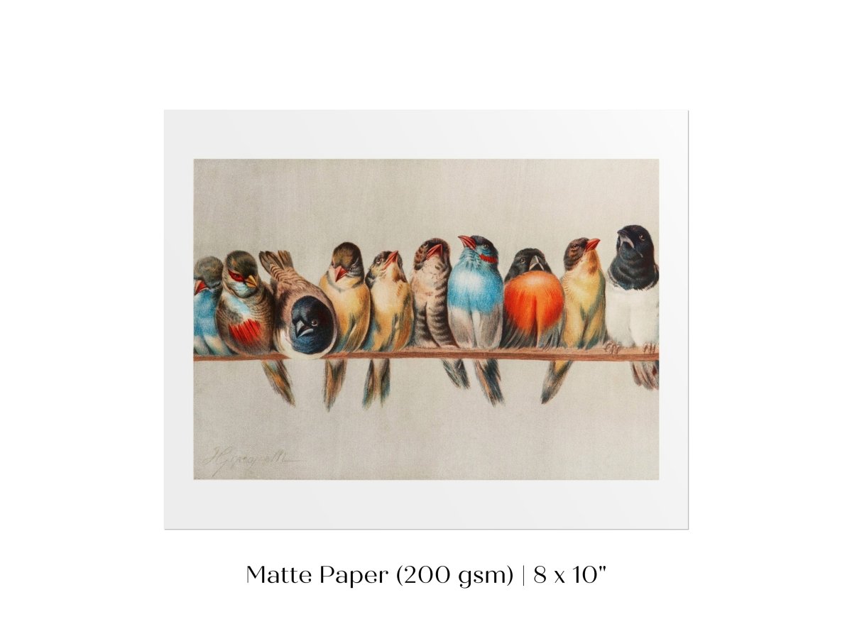 Perch of Small Birds | P30.1 - Single Art Prints - Piccolo Fiore Prints