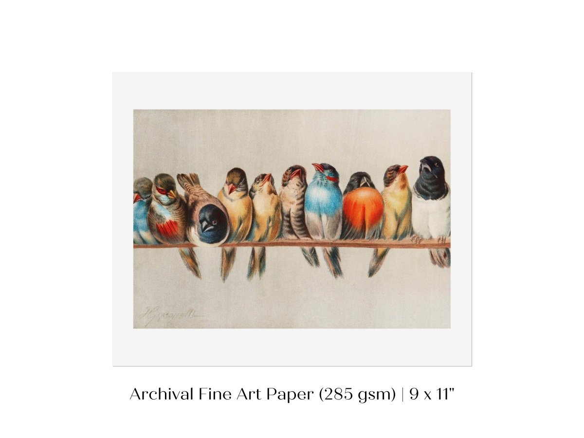 Perch of Small Birds | P30.1 - Single Art Prints - Piccolo Fiore Prints