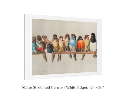 Perch of Small Birds | P30.1 - Single Art Prints - Piccolo Fiore Prints