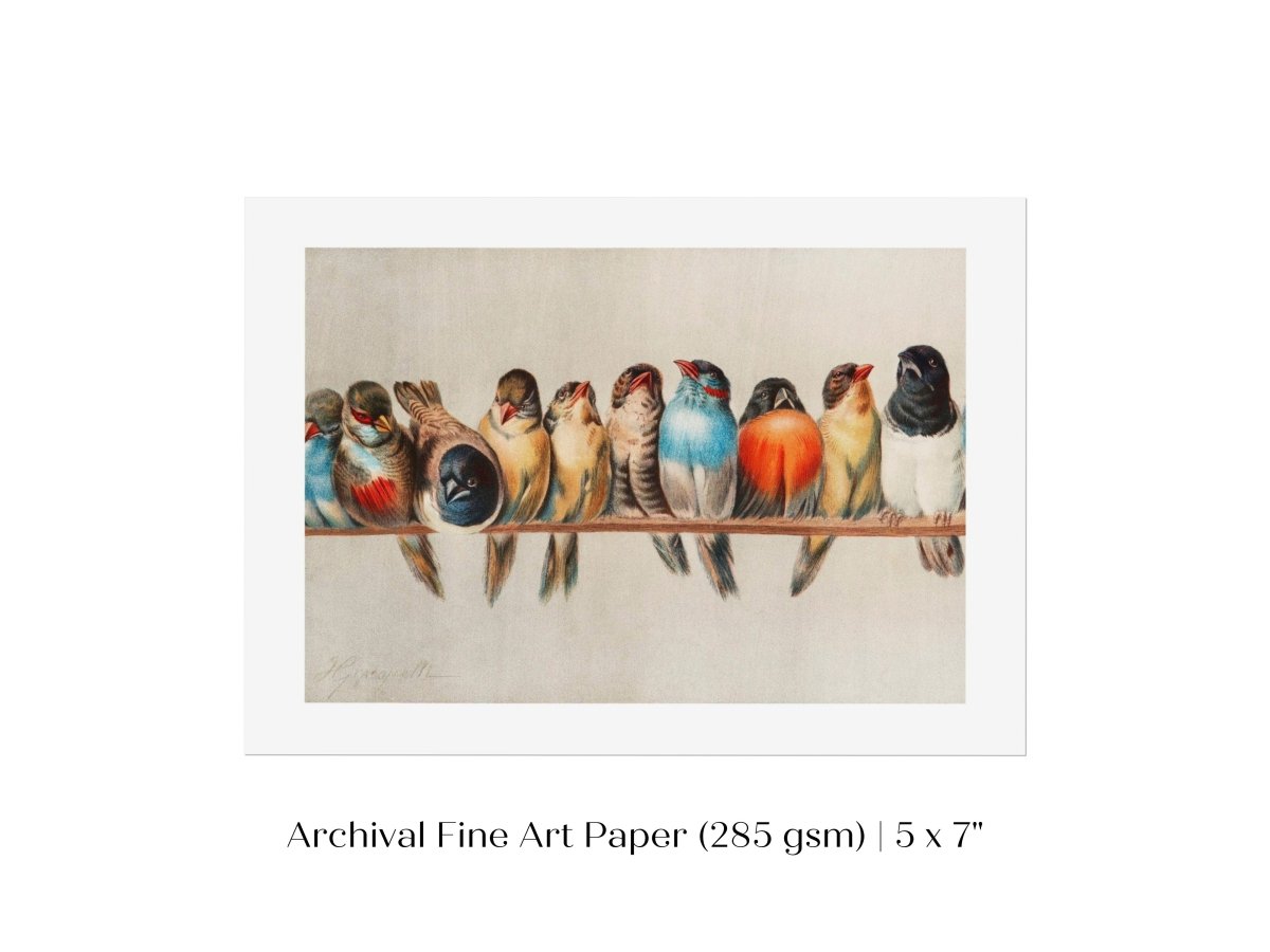 Perch of Small Birds | P30.1 - Single Art Prints - Piccolo Fiore Prints