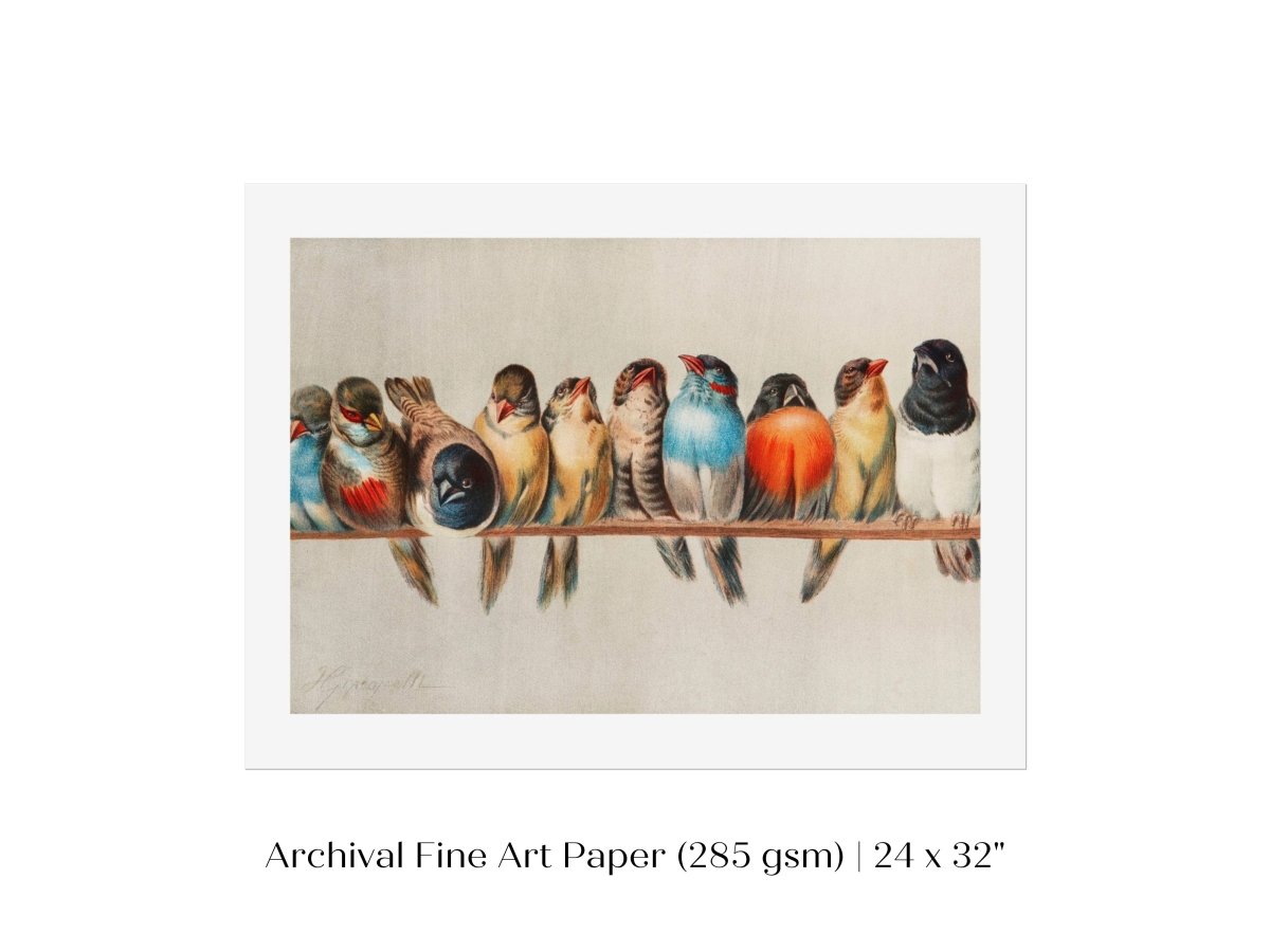 Perch of Small Birds | P30.1 - Single Art Prints - Piccolo Fiore Prints