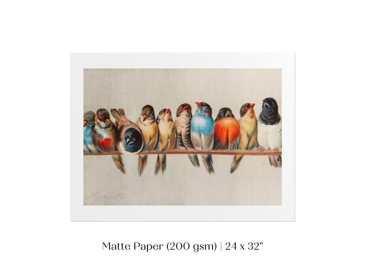 Perch of Small Birds | P30.1 - Single Art Prints - Piccolo Fiore Prints
