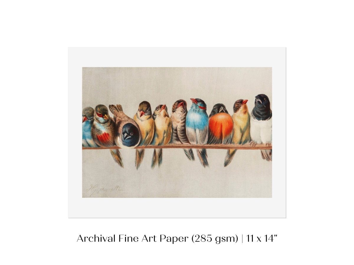 Perch of Small Birds | P30.1 - Single Art Prints - Piccolo Fiore Prints