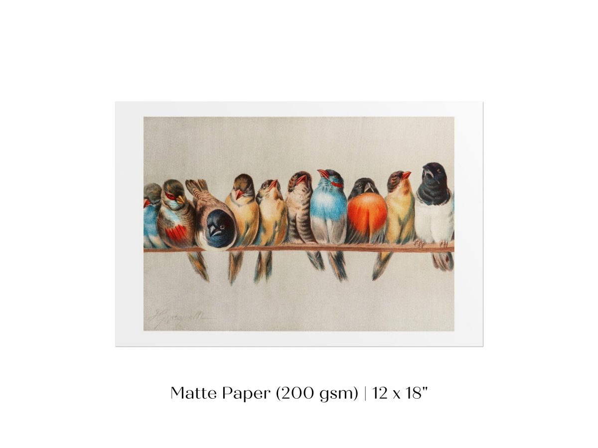 Perch of Small Birds | P30.1 - Single Art Prints - Piccolo Fiore Prints