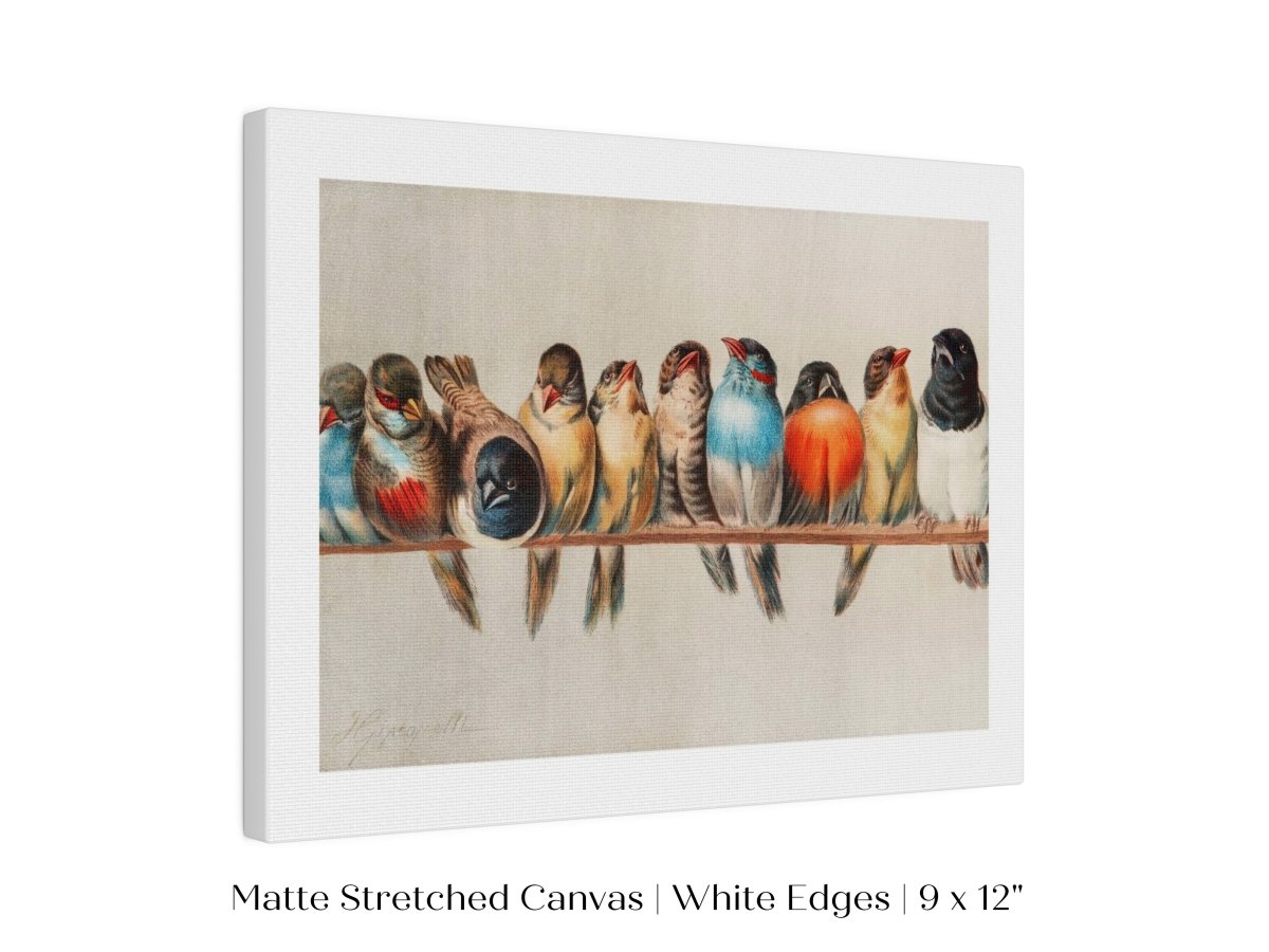 Perch of Small Birds | P30.1 - Single Art Prints - Piccolo Fiore Prints