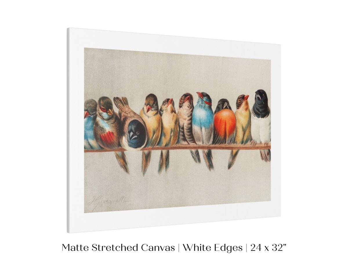 Perch of Small Birds | P30.1 - Single Art Prints - Piccolo Fiore Prints