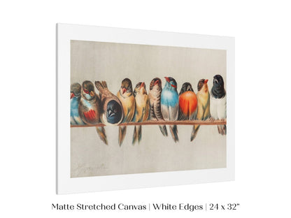 Perch of Small Birds | P30.1 - Single Art Prints - Piccolo Fiore Prints