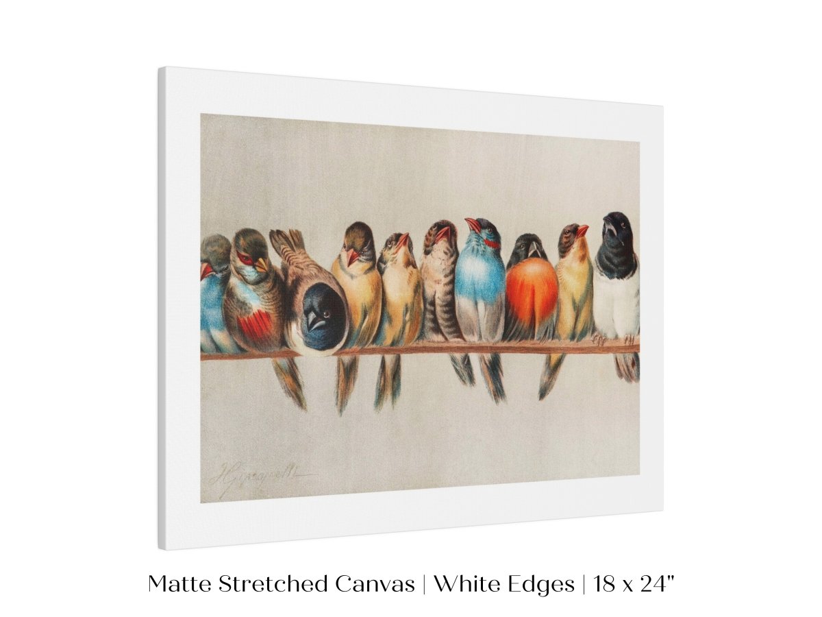 Perch of Small Birds | P30.1 - Single Art Prints - Piccolo Fiore Prints