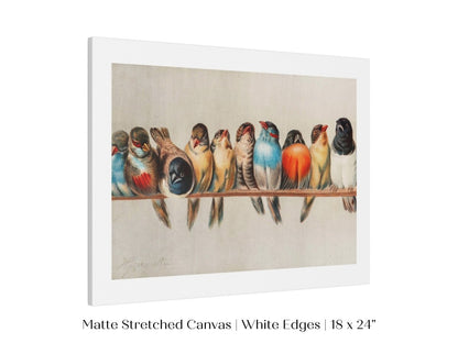 Perch of Small Birds | P30.1 - Single Art Prints - Piccolo Fiore Prints