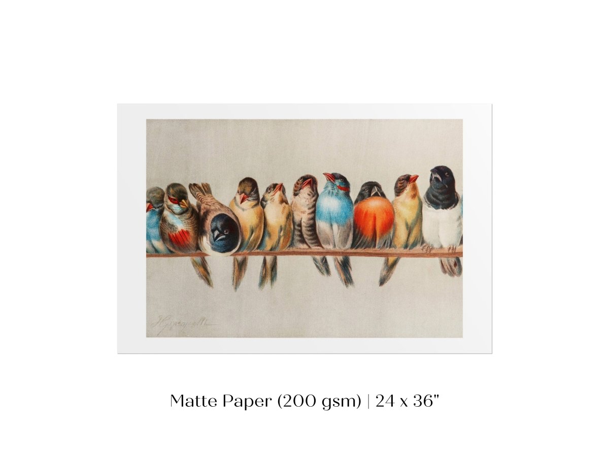 Perch of Small Birds | P30.1 - Single Art Prints - Piccolo Fiore Prints