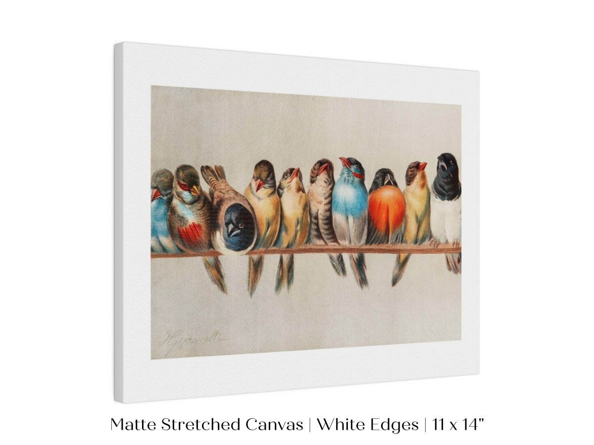 Perch of Small Birds | P30.1 - Single Art Prints - Piccolo Fiore Prints