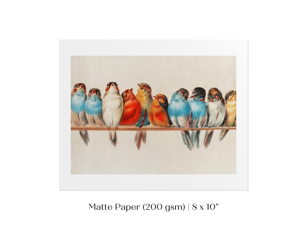 Perch of Small Birds | P30.2 - Single Art Prints - Piccolo Fiore Prints