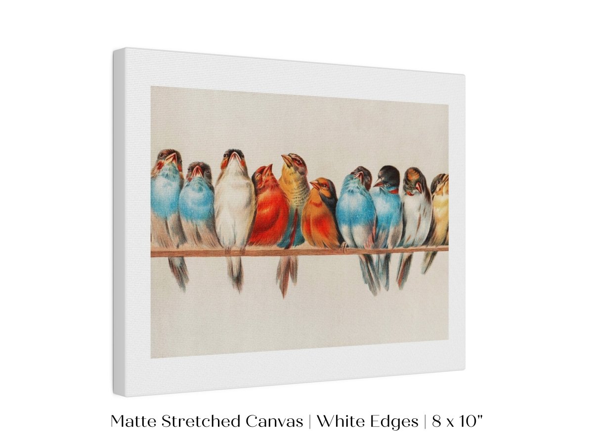 Perch of Small Birds | P30.2 - Single Art Prints - Piccolo Fiore Prints