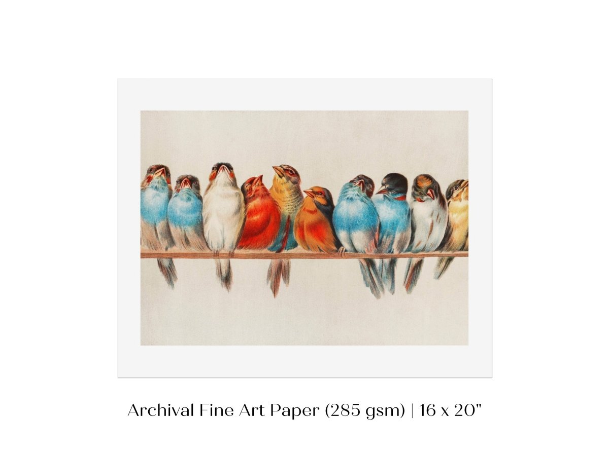 Perch of Small Birds | P30.2 - Single Art Prints - Piccolo Fiore Prints