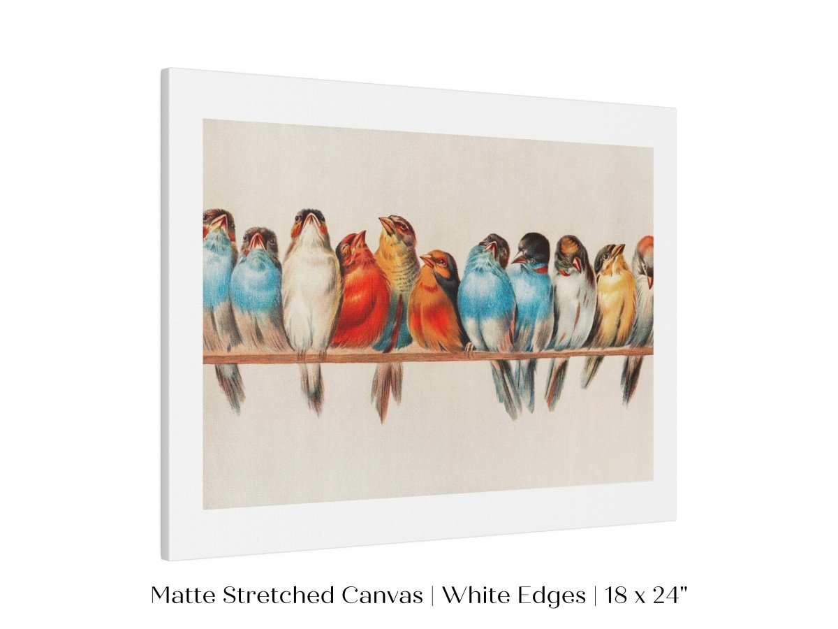 Perch of Small Birds | P30.2 - Single Art Prints - Piccolo Fiore Prints