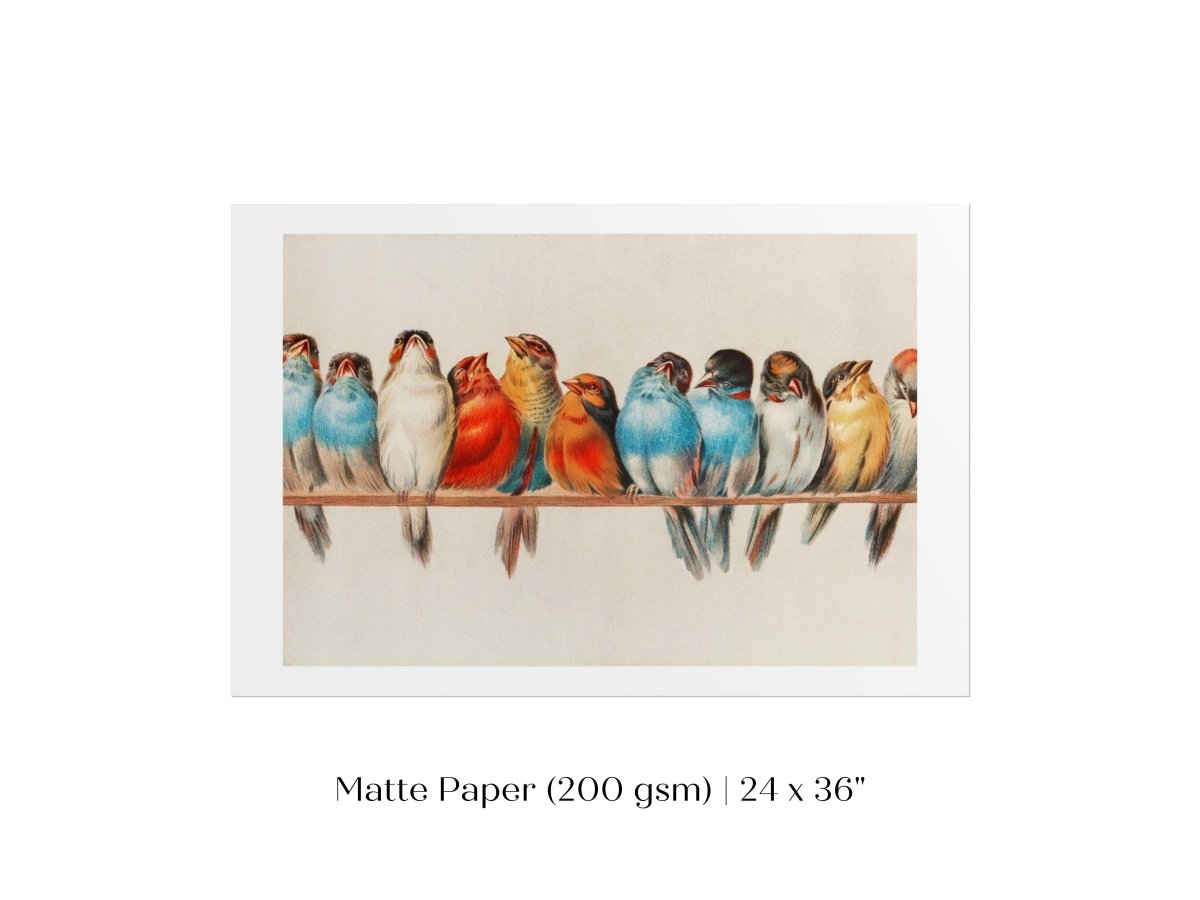 Perch of Small Birds | P30.2 - Single Art Prints - Piccolo Fiore Prints