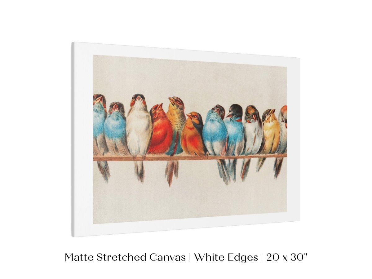 Perch of Small Birds | P30.2 - Single Art Prints - Piccolo Fiore Prints