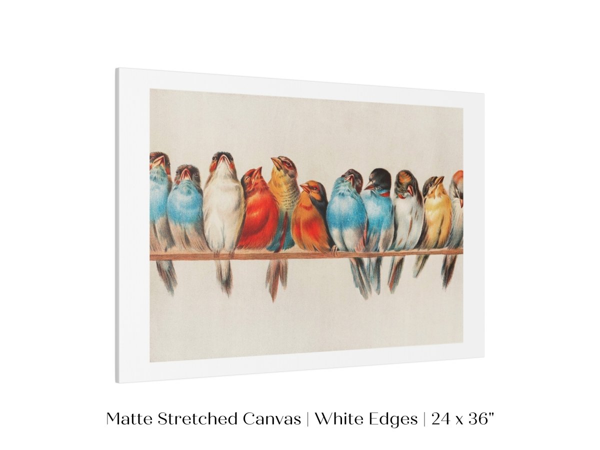 Perch of Small Birds | P30.2 - Single Art Prints - Piccolo Fiore Prints
