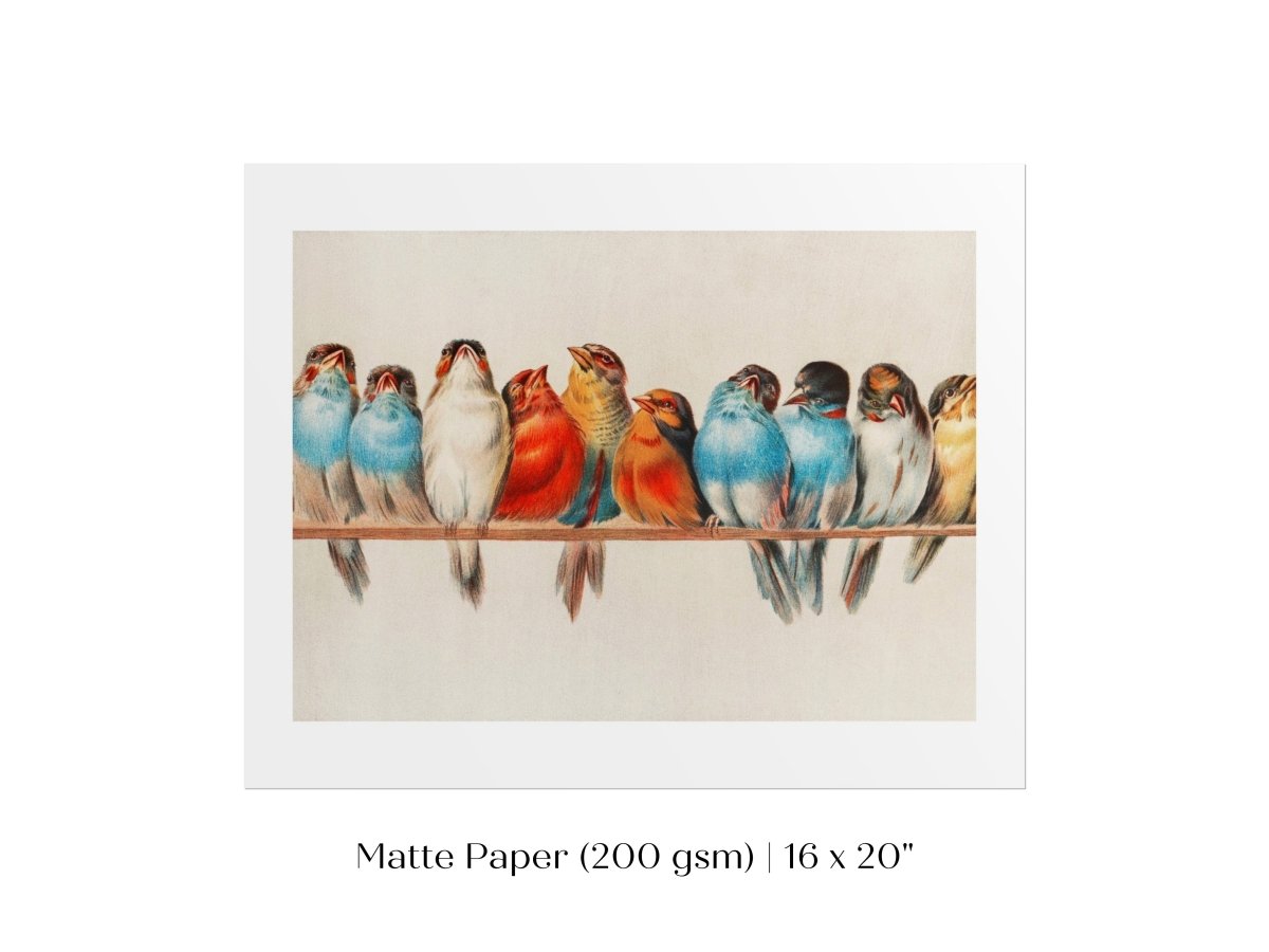 Perch of Small Birds | P30.2 - Single Art Prints - Piccolo Fiore Prints