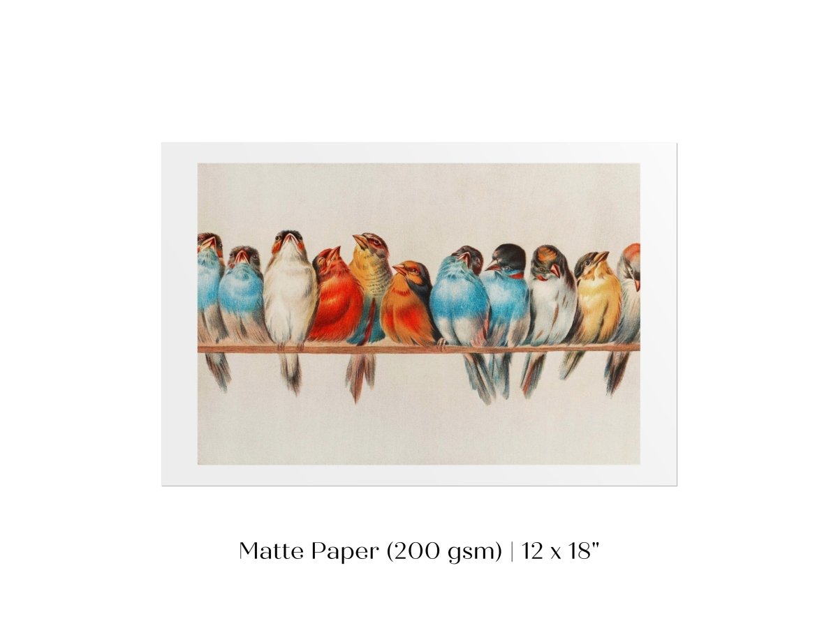 Perch of Small Birds | P30.2 - Single Art Prints - Piccolo Fiore Prints
