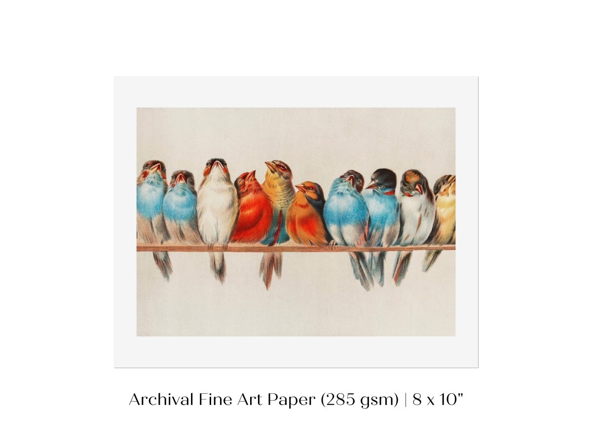 Perch of Small Birds | P30.2 - Single Art Prints - Piccolo Fiore Prints