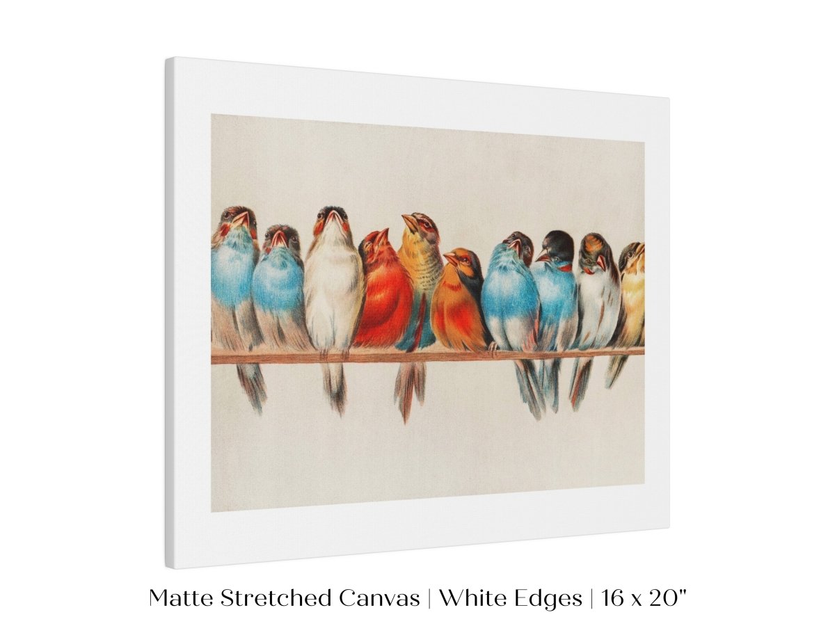 Perch of Small Birds | P30.2 - Single Art Prints - Piccolo Fiore Prints