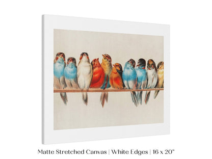 Perch of Small Birds | P30.2 - Single Art Prints - Piccolo Fiore Prints
