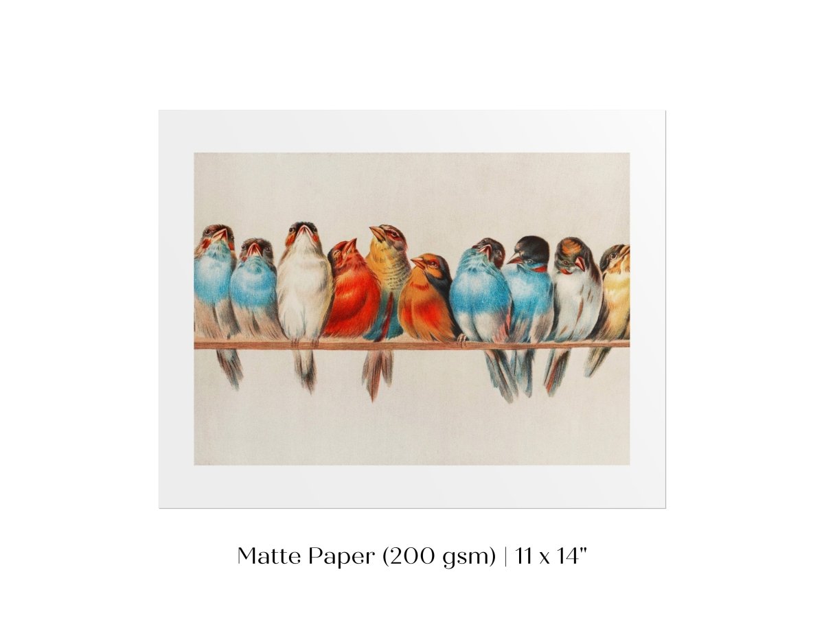Perch of Small Birds | P30.2 - Single Art Prints - Piccolo Fiore Prints