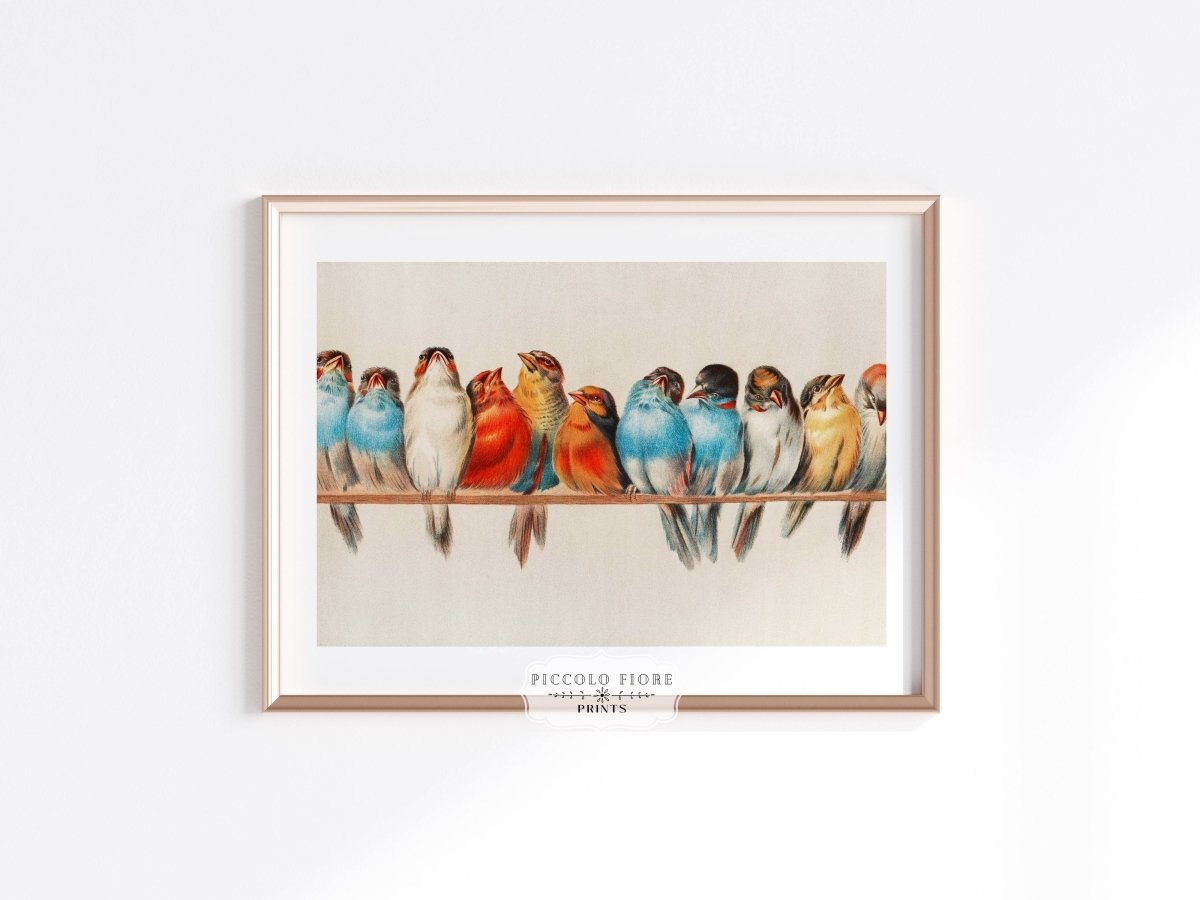 Perch of Small Birds | P30.2 - Single Art Prints - Piccolo Fiore Prints