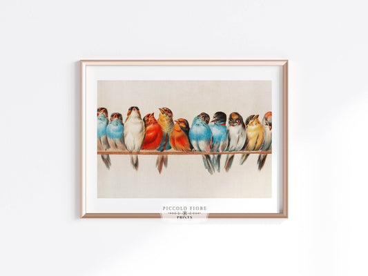 Perch of Small Birds | P30.2 - Single Art Prints - Piccolo Fiore Prints