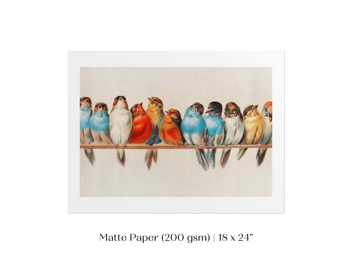 Perch of Small Birds | P30.2 - Single Art Prints - Piccolo Fiore Prints
