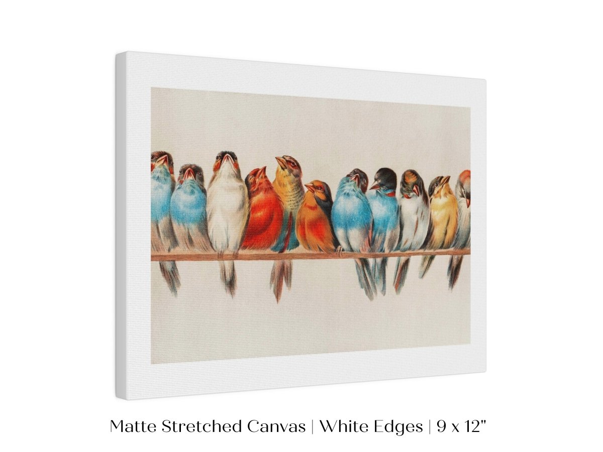 Perch of Small Birds | P30.2 - Single Art Prints - Piccolo Fiore Prints