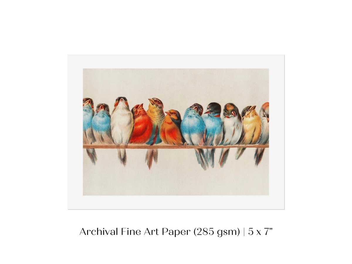 Perch of Small Birds | P30.2 - Single Art Prints - Piccolo Fiore Prints