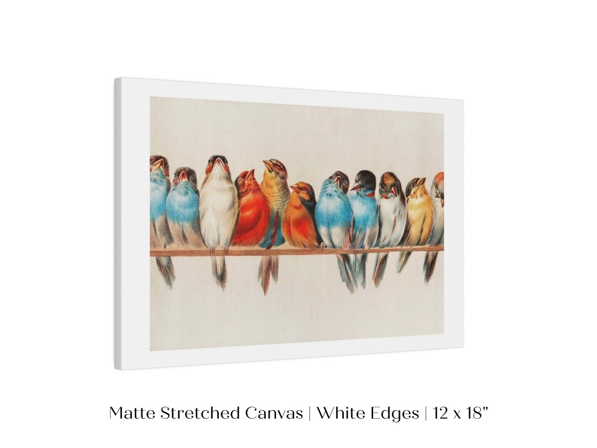 Perch of Small Birds | P30.2 - Single Art Prints - Piccolo Fiore Prints