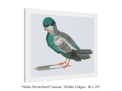 Pigeon Illustration | P92 - Single Art Prints - Piccolo Fiore Prints