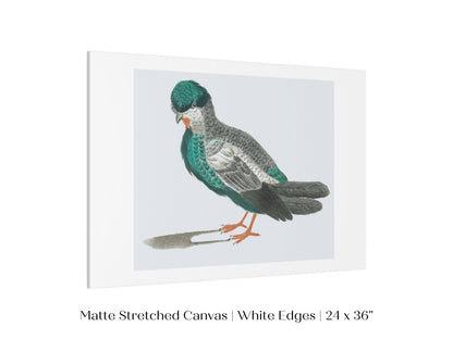 Pigeon Illustration | P92 - Single Art Prints - Piccolo Fiore Prints