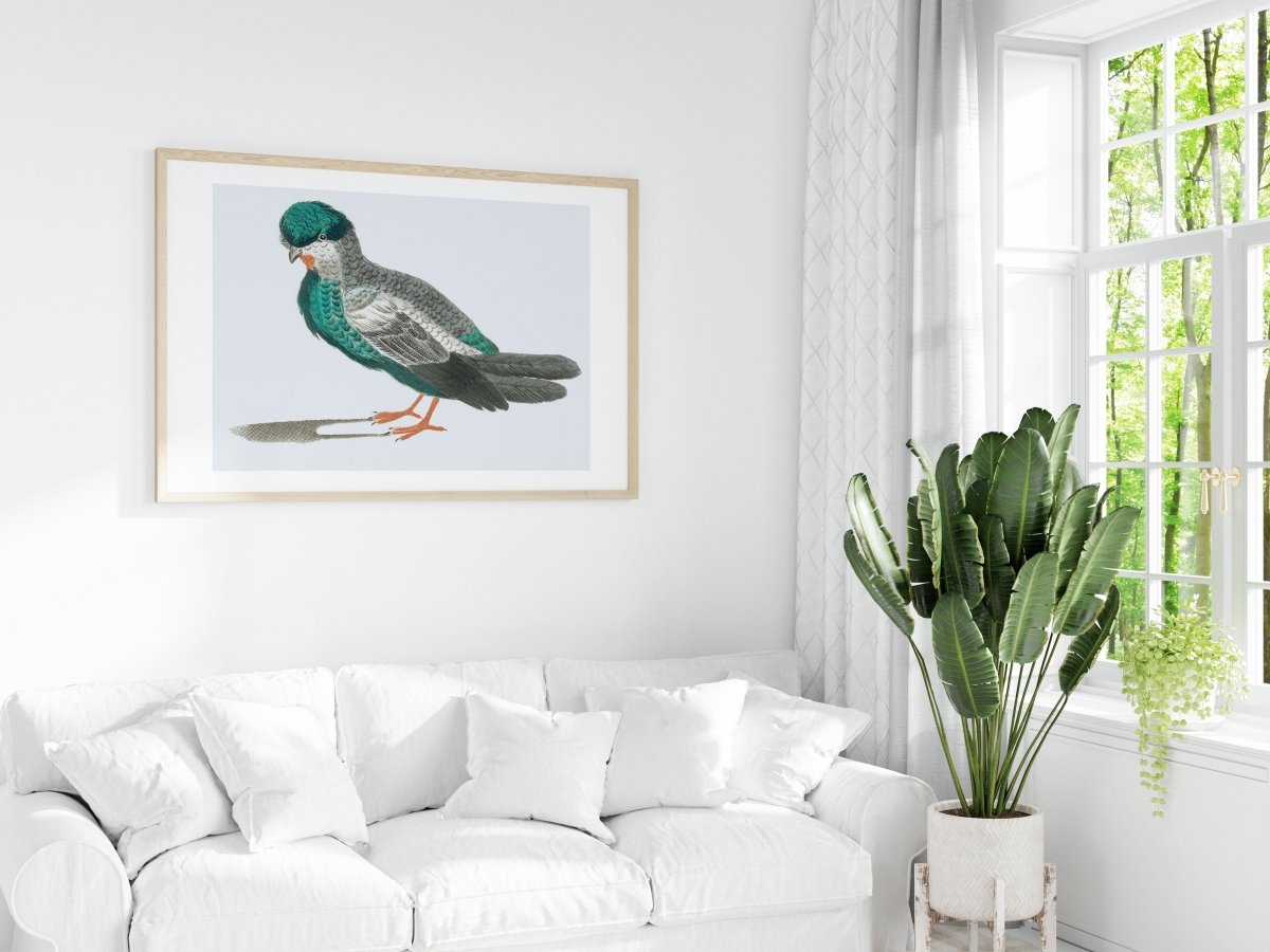 Pigeon Illustration | P92 - Single Art Prints - Piccolo Fiore Prints
