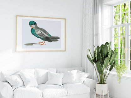 Pigeon Illustration | P92 - Single Art Prints - Piccolo Fiore Prints