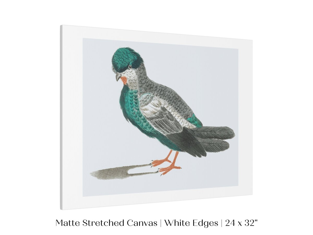 Pigeon Illustration | P92 - Single Art Prints - Piccolo Fiore Prints