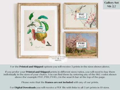 Pink Blossom and Pear | Gallery Wall Set | 3 Art Prints | M8 - 2.7 - Gallery Wall Set - Piccolo Fiore Prints