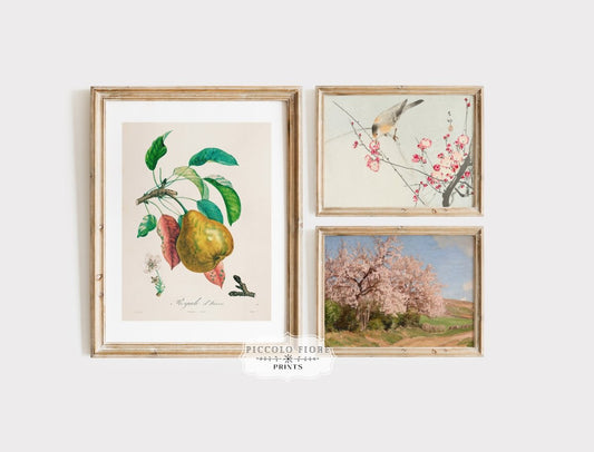 Pink Blossom and Pear | Gallery Wall Set | 3 Art Prints | M8 - 2.7 - Gallery Wall Set - Piccolo Fiore Prints