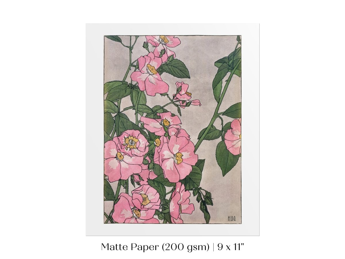 Prairie Rose | P54 - Single Art Prints - Piccolo Fiore Prints