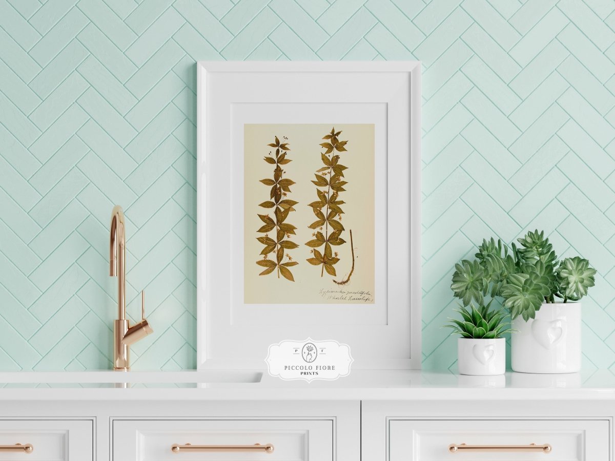 Pressed Flower Art Print | Crosswort | P432 - Single Art Prints - Piccolo Fiore Prints