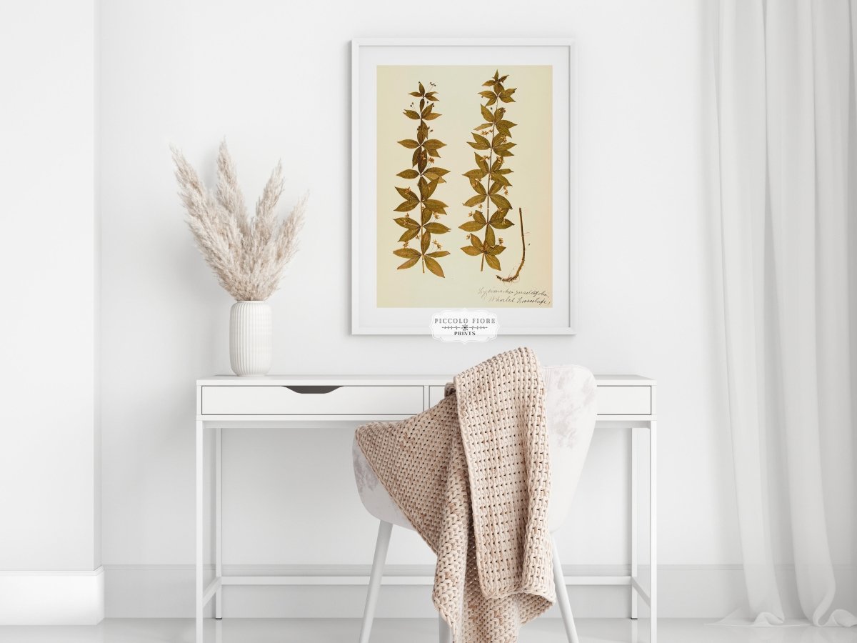 Pressed Flower Art Print | Crosswort | P432 - Single Art Prints - Piccolo Fiore Prints